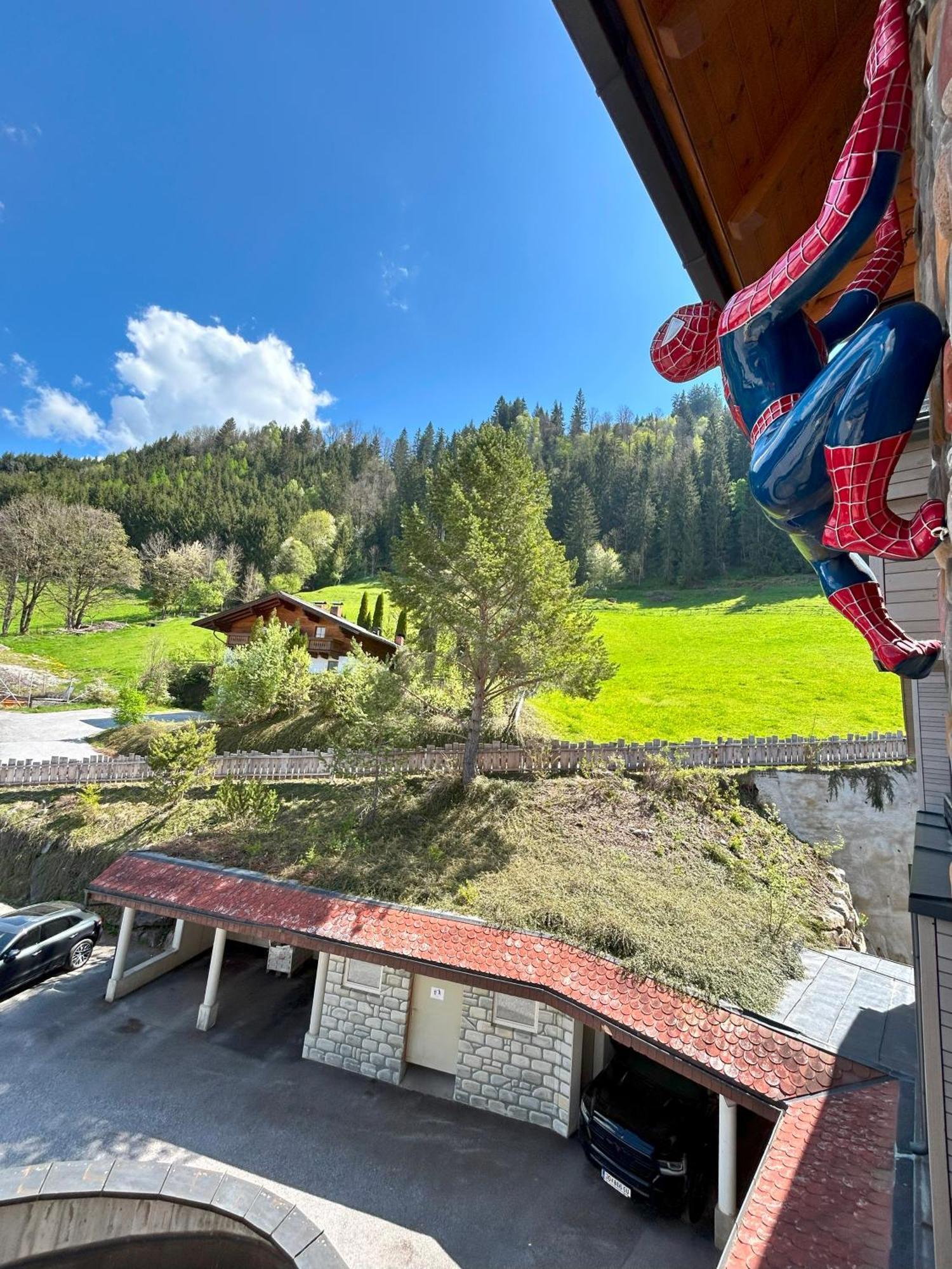 Weitenmoos Panorama Apartments Sankt Johann im Pongau Ngoại thất bức ảnh