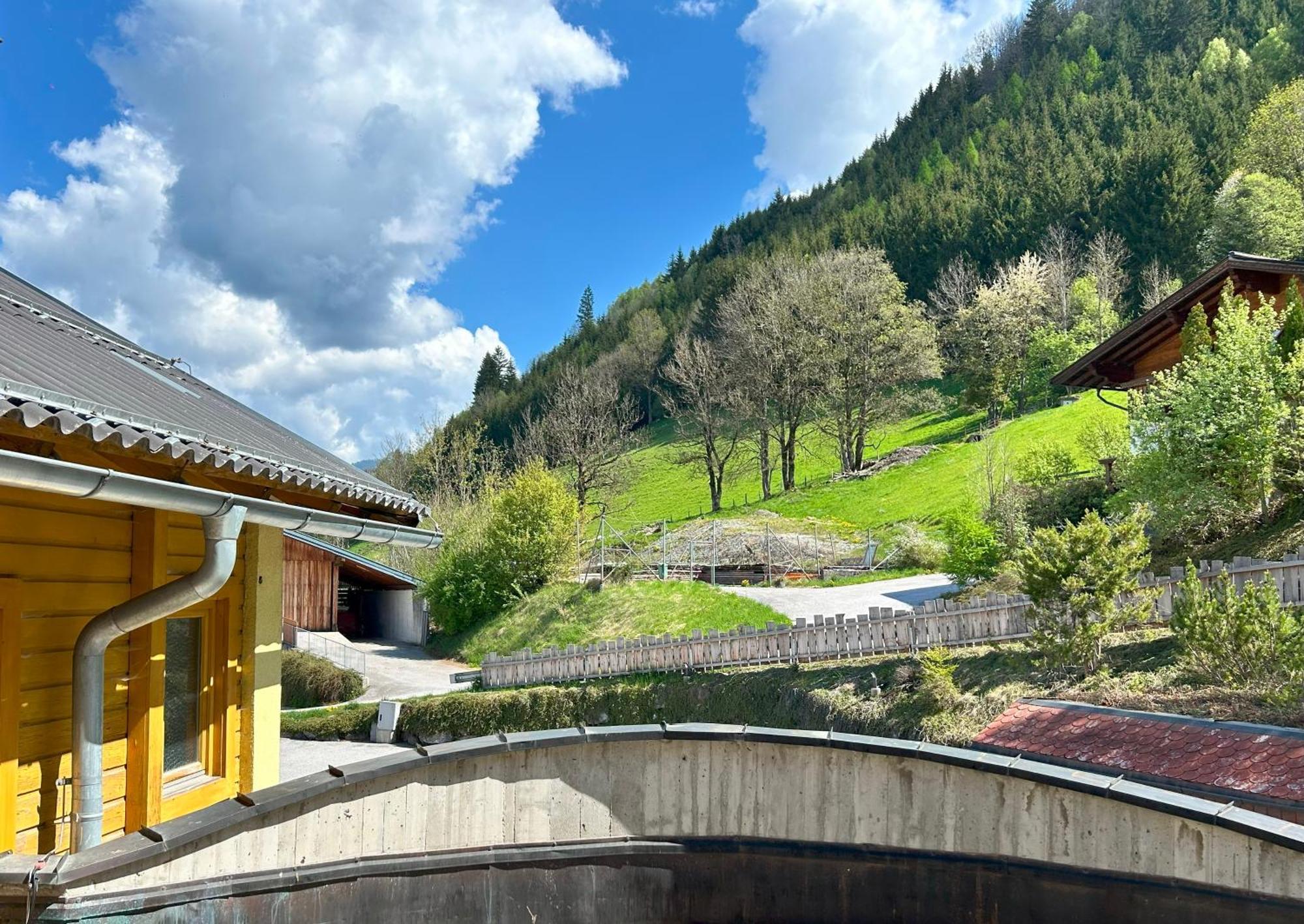 Weitenmoos Panorama Apartments Sankt Johann im Pongau Phòng bức ảnh